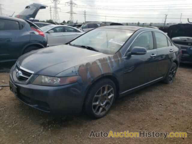 ACURA TSX, JH4CL96884C020019