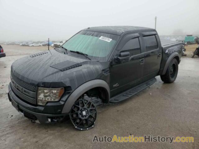 FORD F150 SVT RAPTOR, 1FTFW1R66BFD35219
