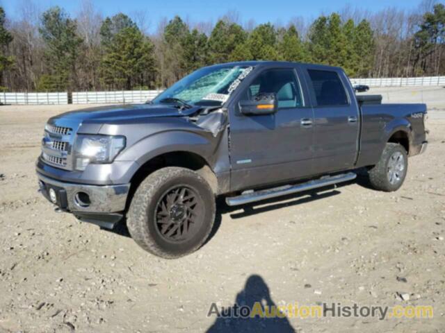 FORD F-150 SUPERCREW, 1FTFW1ET3DFD08462