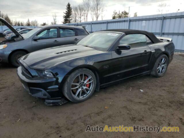 FORD MUSTANG GT, 1ZVBP8FF5E5323515