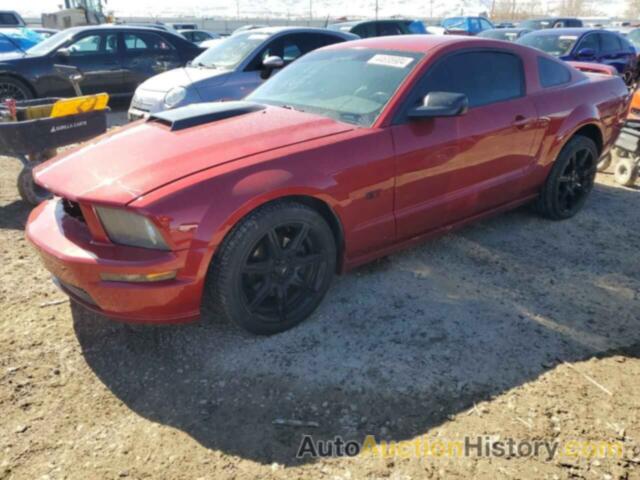 FORD MUSTANG GT, 1ZVHT82HX85206482