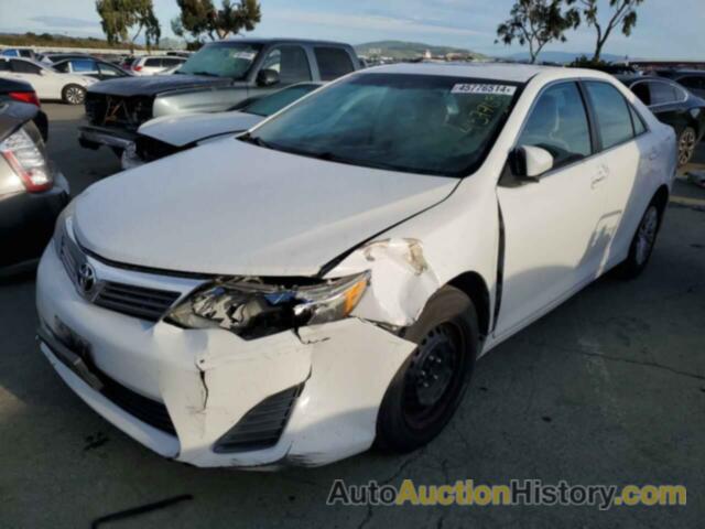 TOYOTA CAMRY BASE, 4T4BF1FK1CR240081