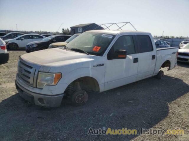 FORD F150 SUPERCREW, 1FTFW1EVXAFD91532