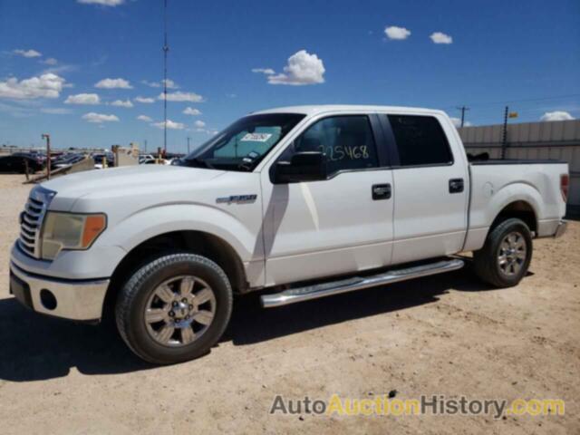 FORD F-150 SUPERCREW, 1FTEW1C80AFC84384
