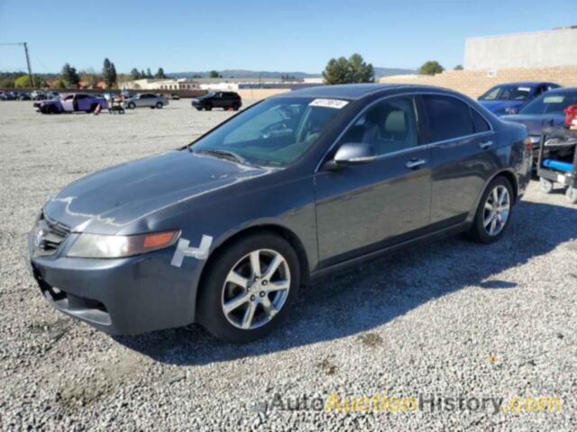ACURA TSX, JH4CL96835C011309