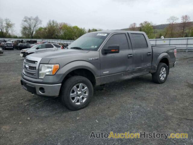 FORD F-150 SUPERCREW, 1FTFW1ET1DFD46756