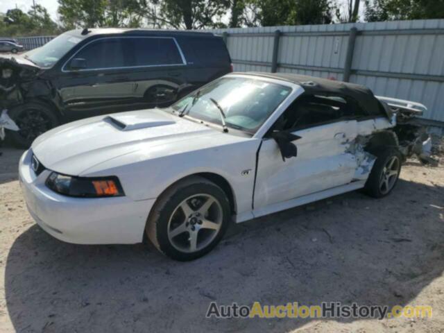 FORD MUSTANG GT, 1FAFP45X42F199241