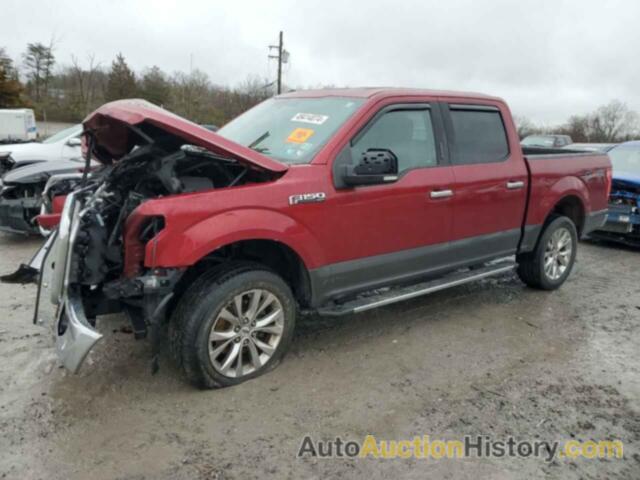 FORD F-150 SUPERCREW, 1FTEW1EF1GFC25221