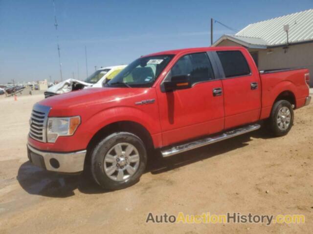 FORD F-150 SUPERCREW, 1FTEW1C89AFC50640