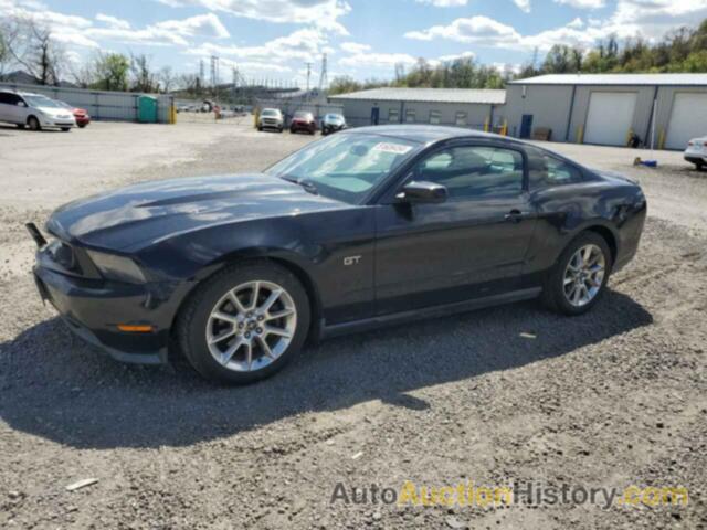 FORD MUSTANG GT, 1ZVBP8CH5A5134850