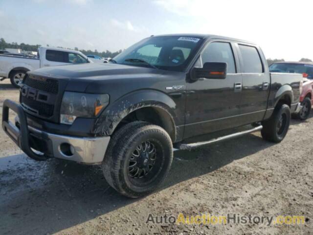 FORD F-150 SUPERCREW, 1FTEW1E87AFD87508