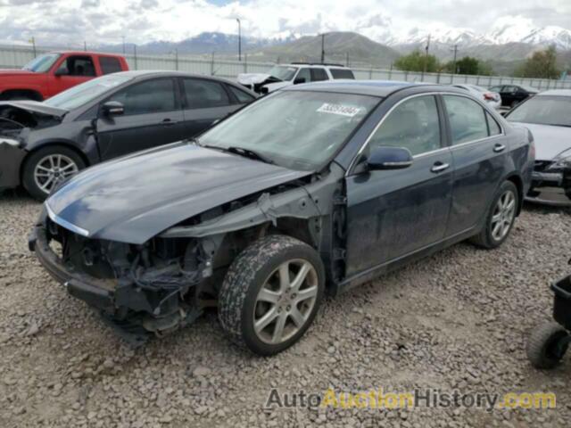 ACURA TSX, JH4CL96804C045416