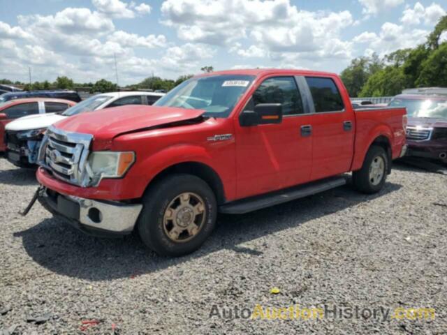 FORD F-150 SUPERCREW, 1FTEW1CM1BKD13915