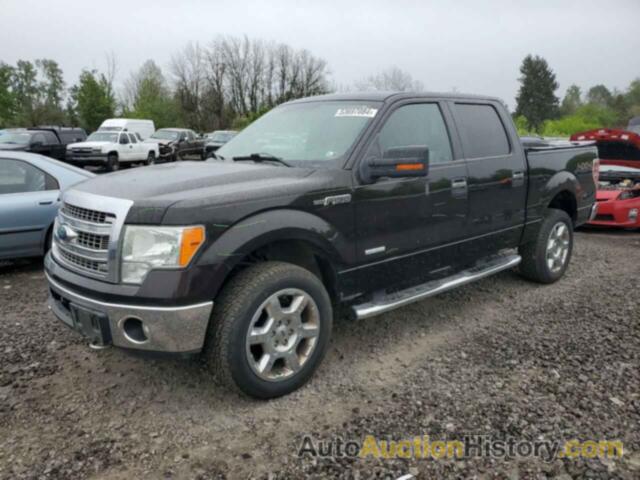 FORD F-150 SUPERCREW, 1FTFW1ET0DFC63397