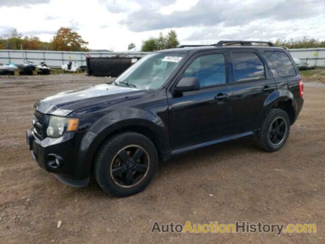 2011 FORD ESCAPE XLT, 1FMCU0D73BKB96625