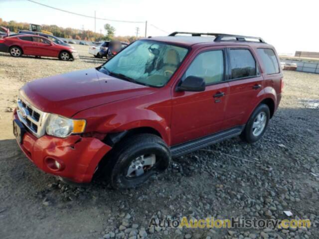 2011 FORD ESCAPE XLT, 1FMCU9D74BKB17581
