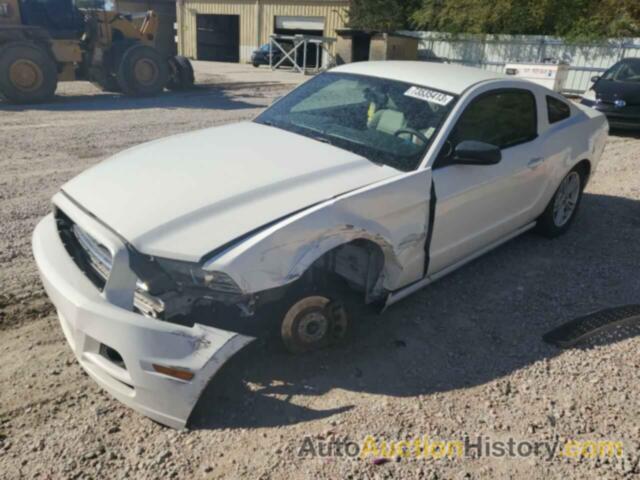 2013 FORD ALL OTHER, 1ZVBP8AM3D5215172