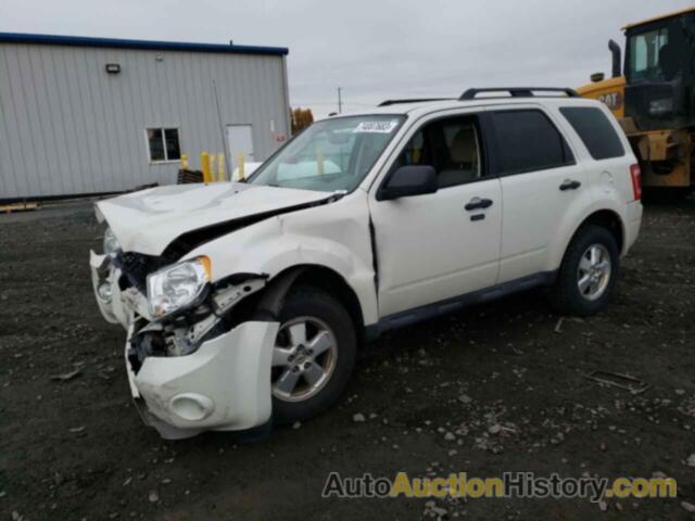 2011 FORD ESCAPE XLT, 1FMCU9D77BKB67164