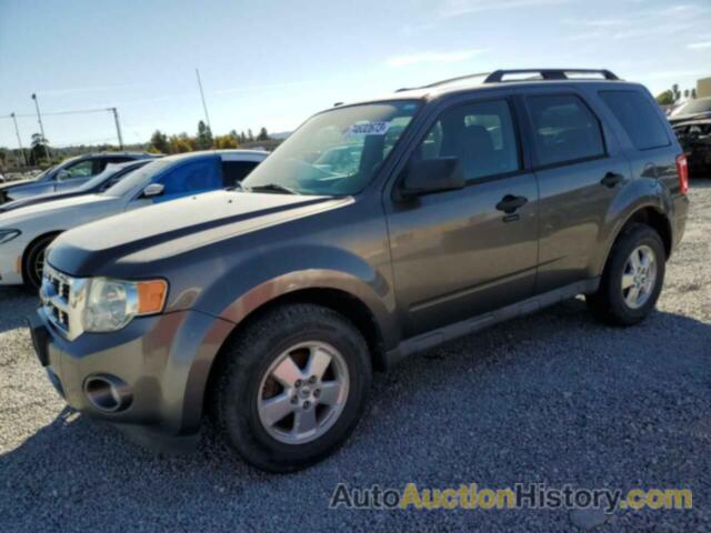 2011 FORD ESCAPE XLT, 1FMCU9D73BKB25669