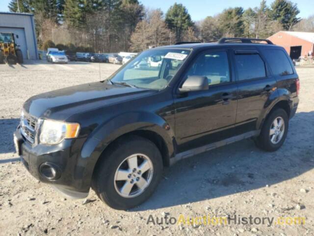 2011 FORD ESCAPE XLT, 1FMCU9D71BKB17120