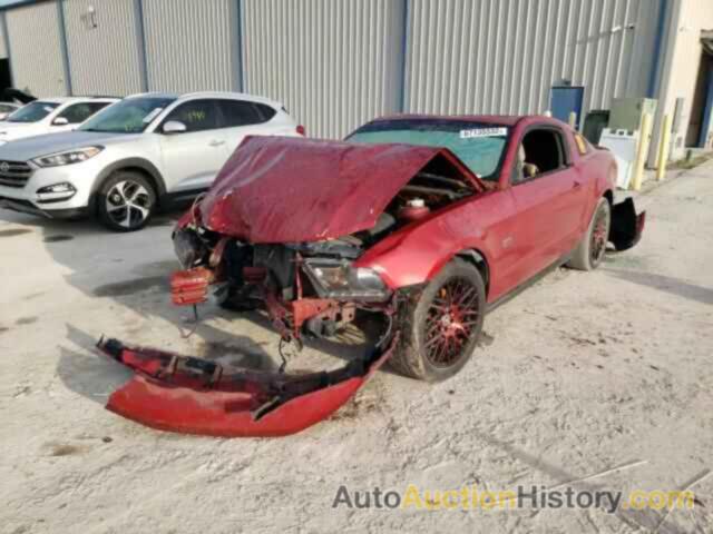 FORD MUSTANG GT, 1ZVBP8CH6A5176556