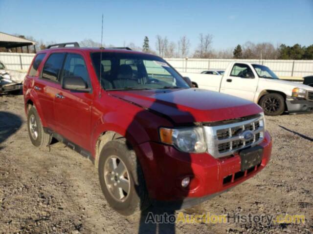 2011 FORD ESCAPE XLT, 1FMCU9D76BKB29330