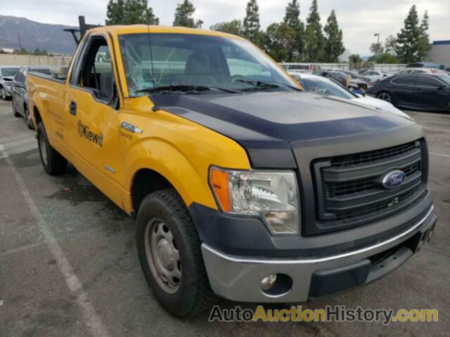2013 FORD F150, 1FTNF1CT4DKF22351