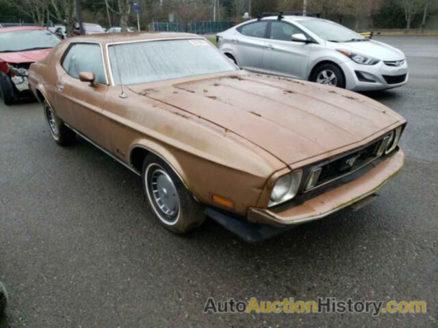 1973 FORD MUSTANG, 3F01F256231