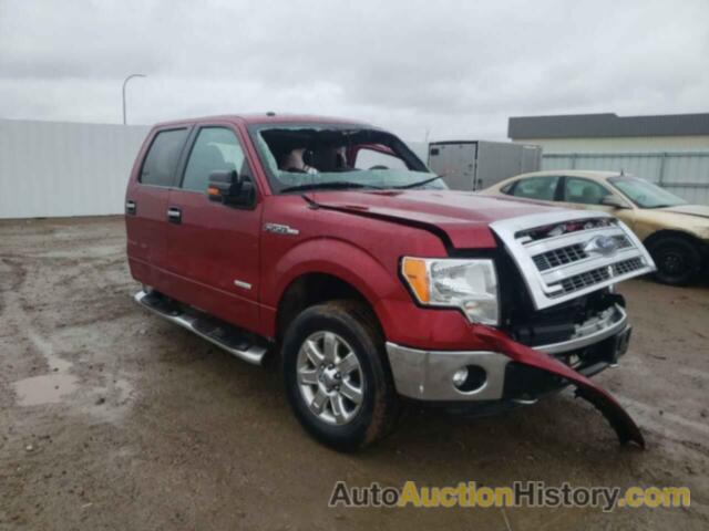 2013 FORD F150 SUPERCREW, 1FTFW1ET4DFD68881
