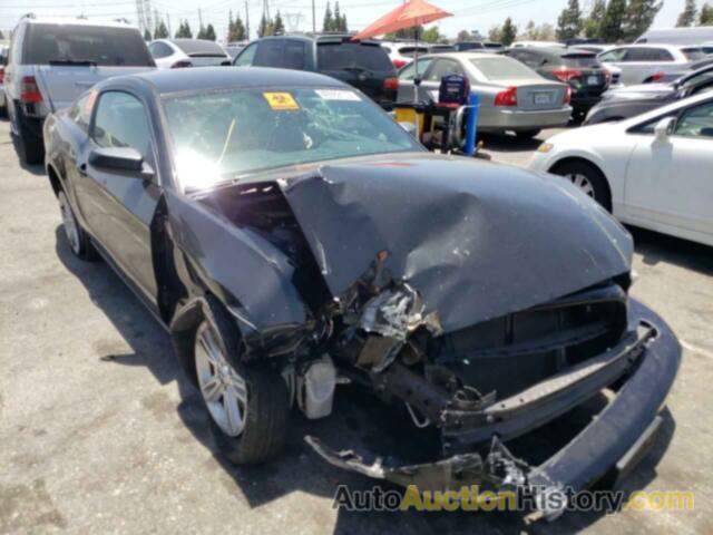 2013 FORD MUSTANG, 1ZVBP8AM8D5276047