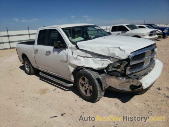 2010 DODGE ALL OTHER, 1D7RB1GP5AS165273