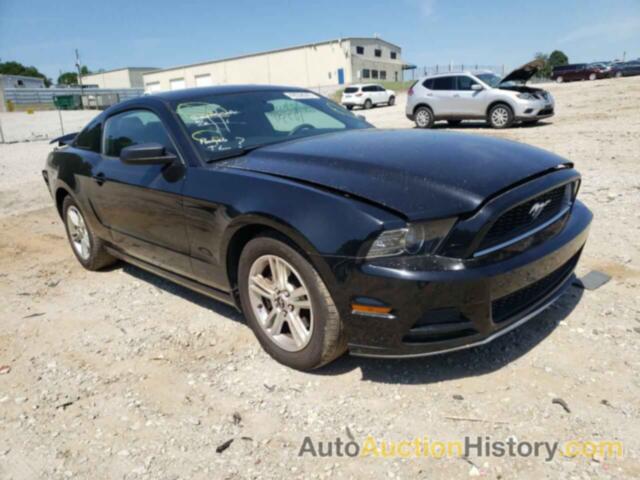2013 FORD MUSTANG, 1ZVBP8AM1D5235226