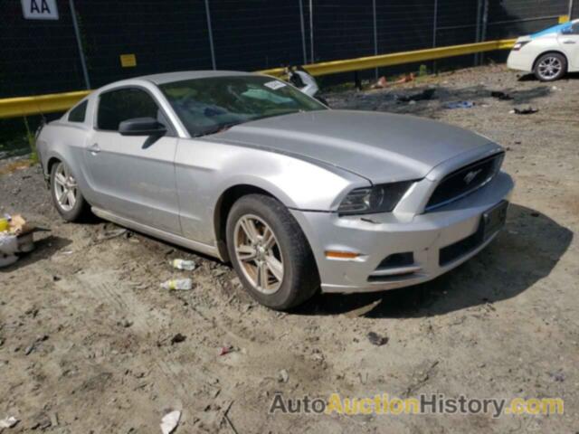 2013 FORD MUSTANG, 1ZVBP8AM8D5281474