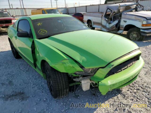 2013 FORD MUSTANG, 1ZVBP8AM8D5269129