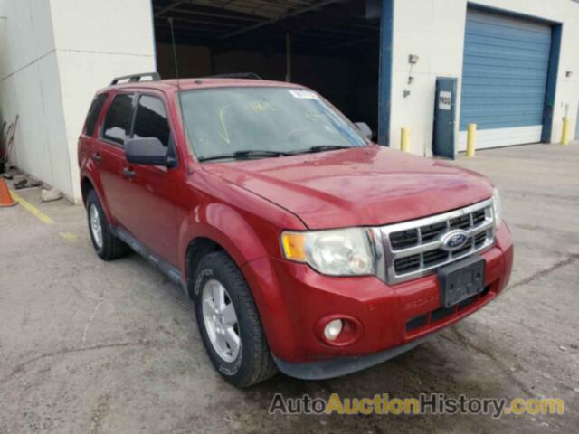 2011 FORD ESCAPE XLT, 1FMCU9D70BKB29310