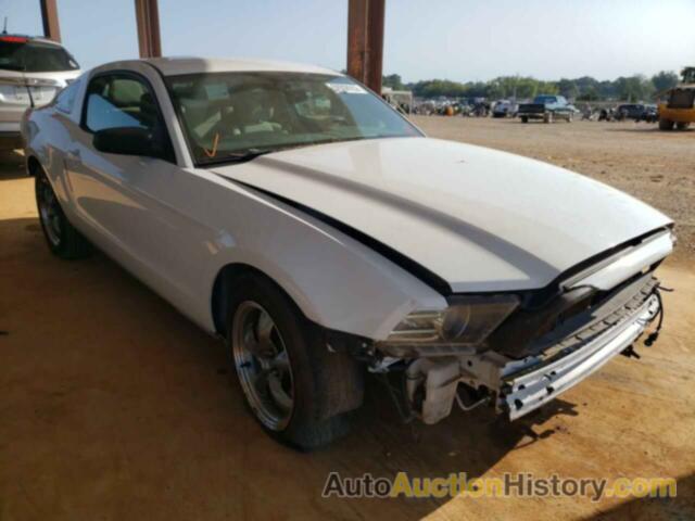2014 FORD MUSTANG, 1ZVBP8AM3E5328881