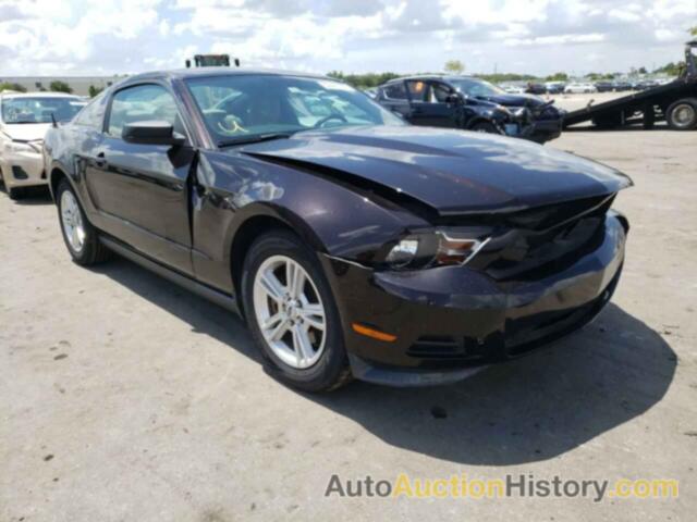 2012 FORD MUSTANG, 1ZVBP8AM5C5202633