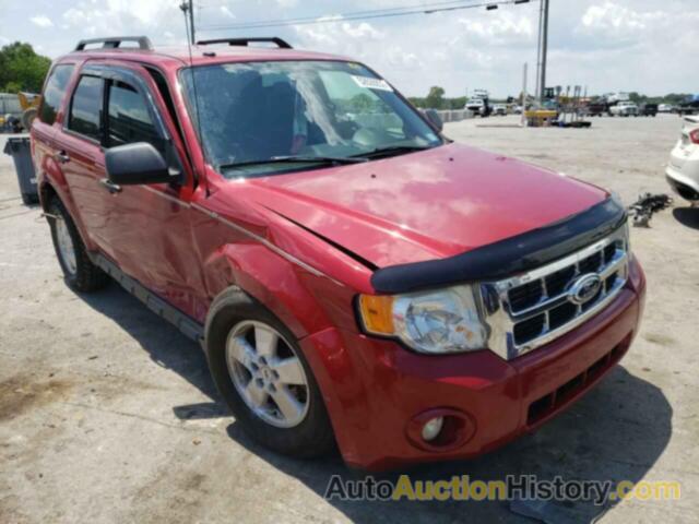 2011 FORD ESCAPE XLT, 1FMCU0D71BKB88751