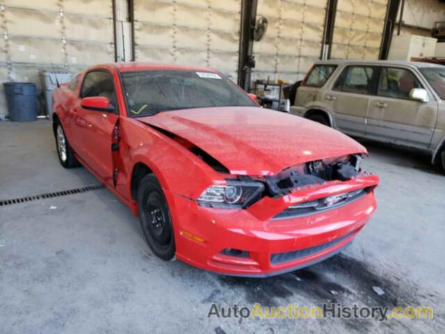 2013 FORD MUSTANG, 1ZVBP8AM3D5280197