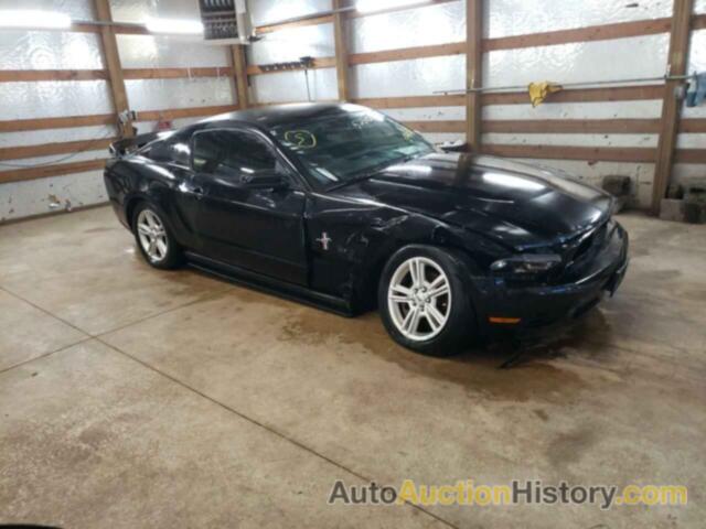 2012 FORD MUSTANG, 1ZVBP8AM1C5221079
