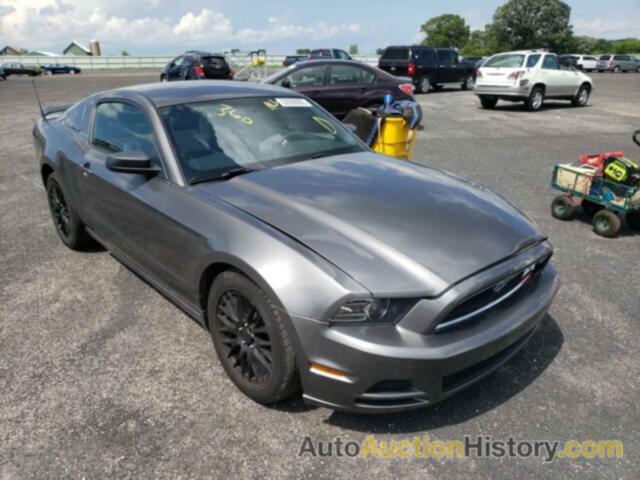 2014 FORD MUSTANG, 1ZVBP8AM3E5334695