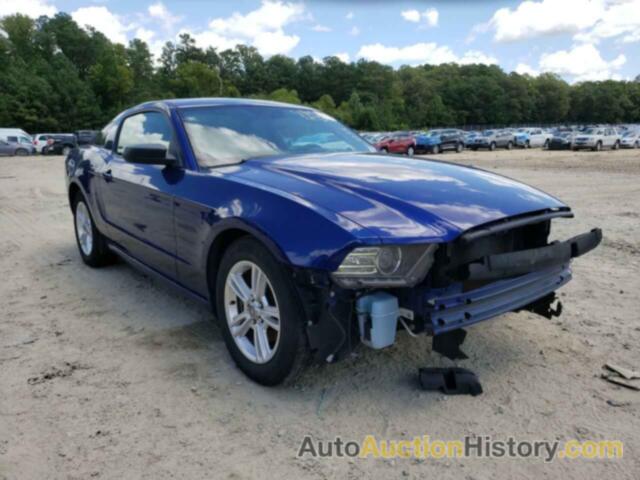 2013 FORD MUSTANG, 1ZVBP8AM9D5240660