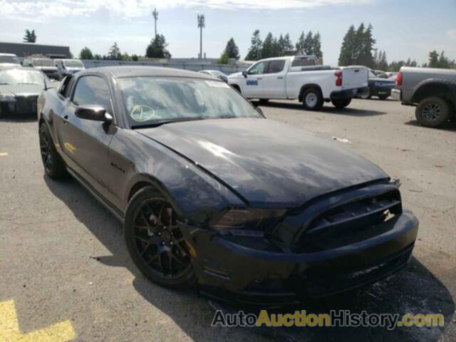 2013 FORD MUSTANG, 1ZVBP8AM9D5264764