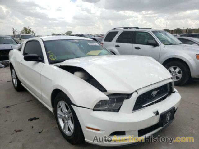 2013 FORD MUSTANG, 1ZVBP8AM6D5281859
