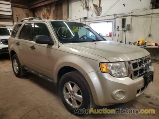 2011 FORD ESCAPE XLT, 1FMCU9D70BKB14743