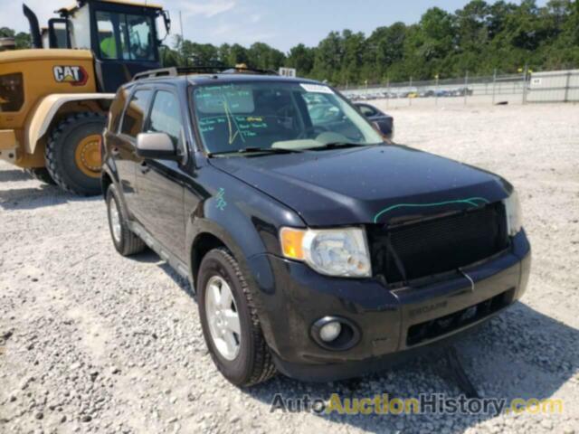 2011 FORD ESCAPE XLT, 1FMCU0D77BKB09552