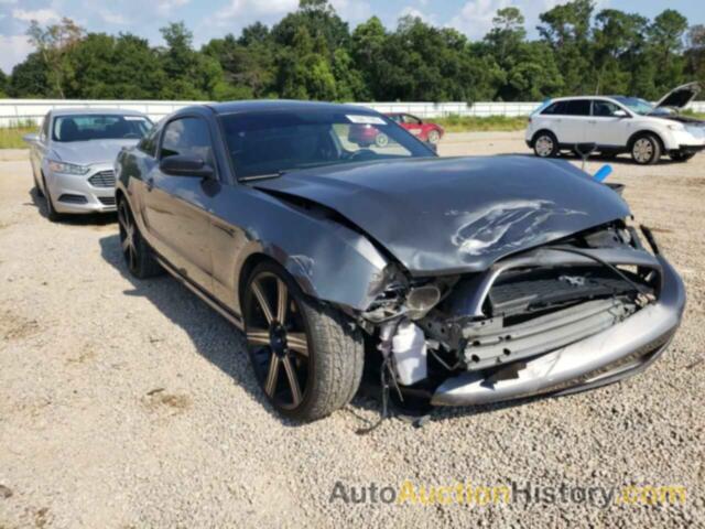 2014 FORD MUSTANG, 1ZVBP8AM7E5311629