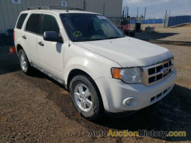 2012 FORD ESCAPE XLT, 1FMCU9D78CKA92542