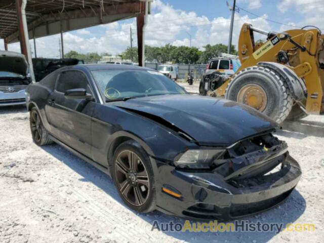 2014 FORD MUSTANG, 1ZVBP8AM4E5269257