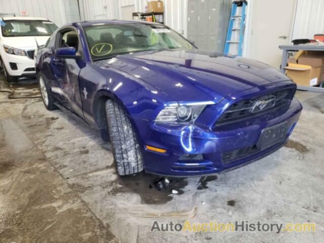 2013 FORD MUSTANG, 1ZVBP8AM8D5258714